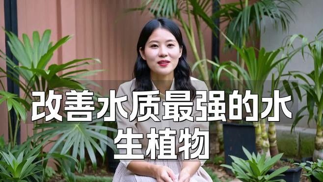 哪些植物可以清潔水質（探討哪些植物可以清潔水質凈化水質及使用注意事項）