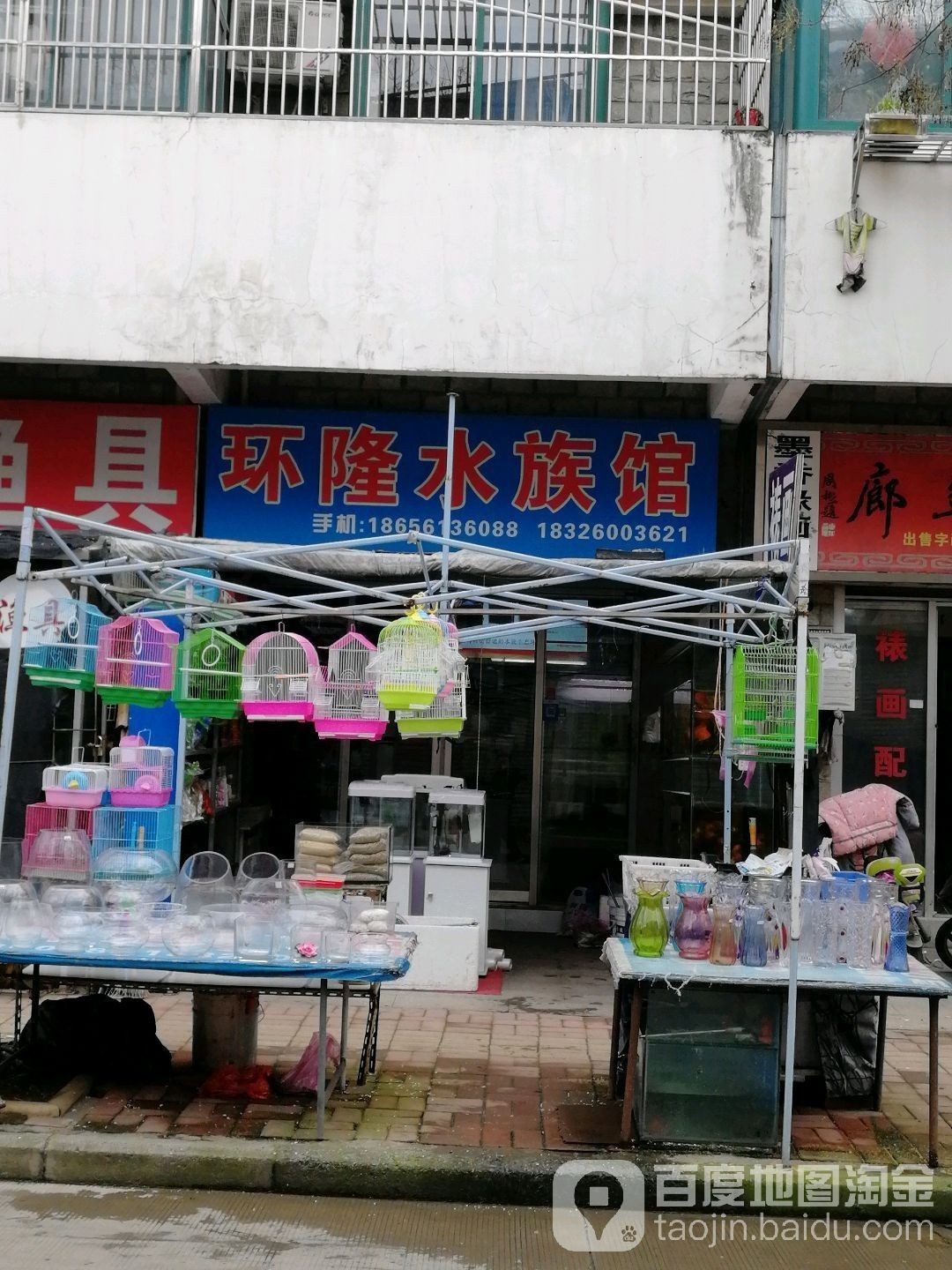 合肥哪個水族館龍魚好？祥龍魚場龍魚（合肥市祥龍魚場）