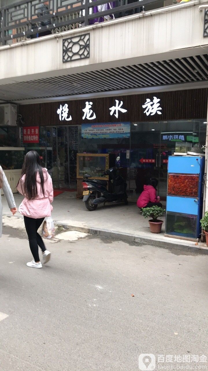 合肥哪個水族館龍魚好？祥龍魚場龍魚（合肥市祥龍魚場）