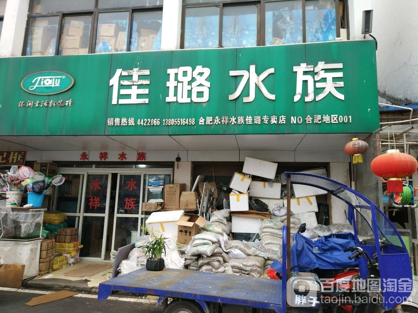 合肥哪個水族館龍魚好？祥龍魚場龍魚（合肥市祥龍魚場）