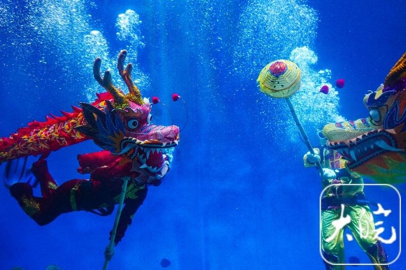 合肥哪個水族館龍魚好？祥龍魚場龍魚（合肥市祥龍魚場）