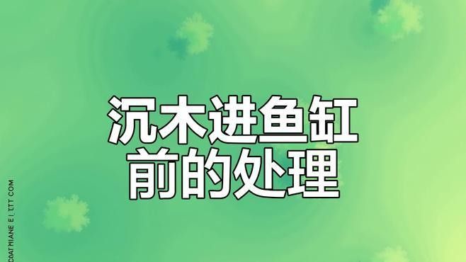 如何選擇適合龍魚的沉木和石頭（適合龍魚的沉木和石頭） 如何選擇適合龍魚的沉木和石頭（適合龍魚的沉木和石頭） 龍魚百科 第5張