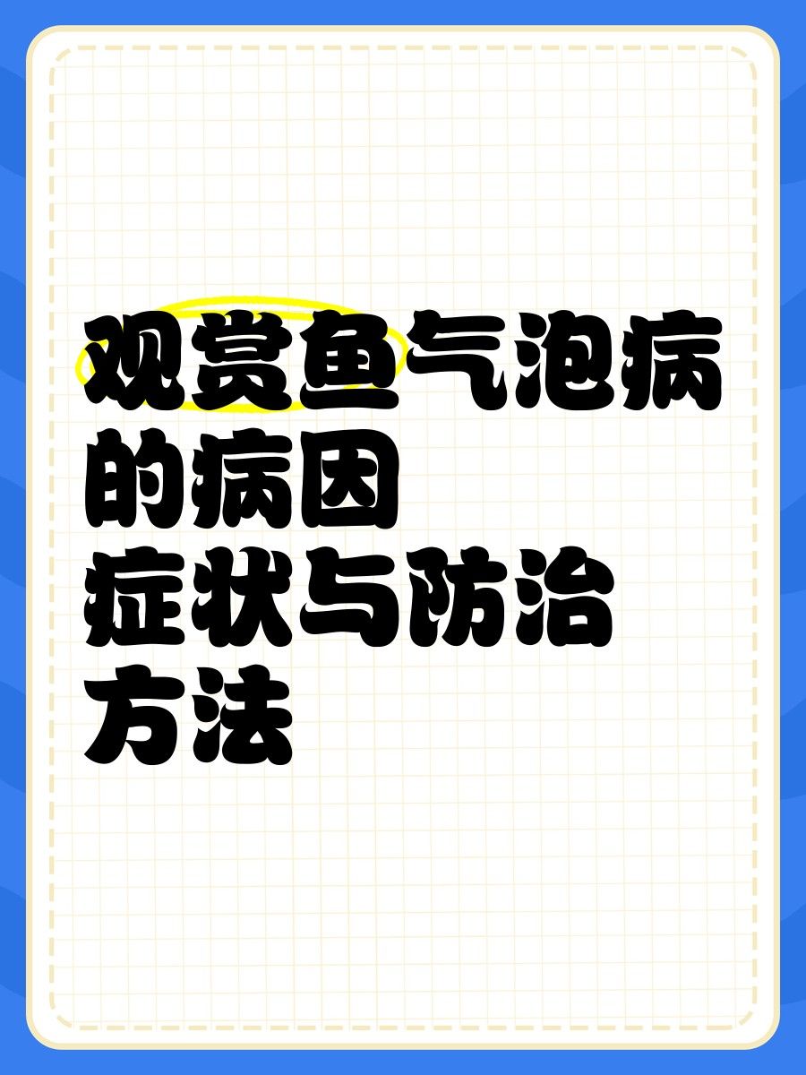 龍魚身上小氣泡如何快速去除（如何快速有效地去除龍魚身上的小氣泡）