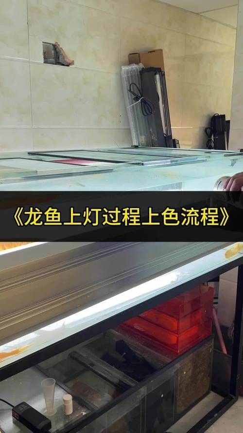 紅龍魚小夜燈應該如何安裝（紅龍魚小夜燈的安裝步驟）