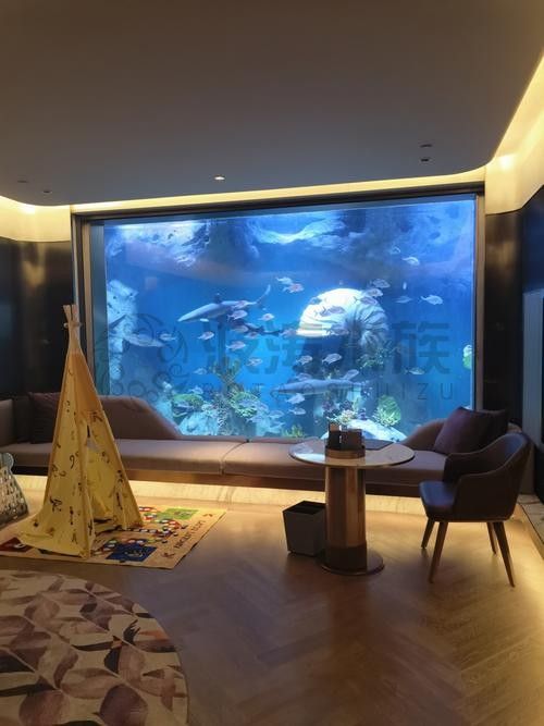 上海有哪些高端水族店（上海海洋之星水族館）