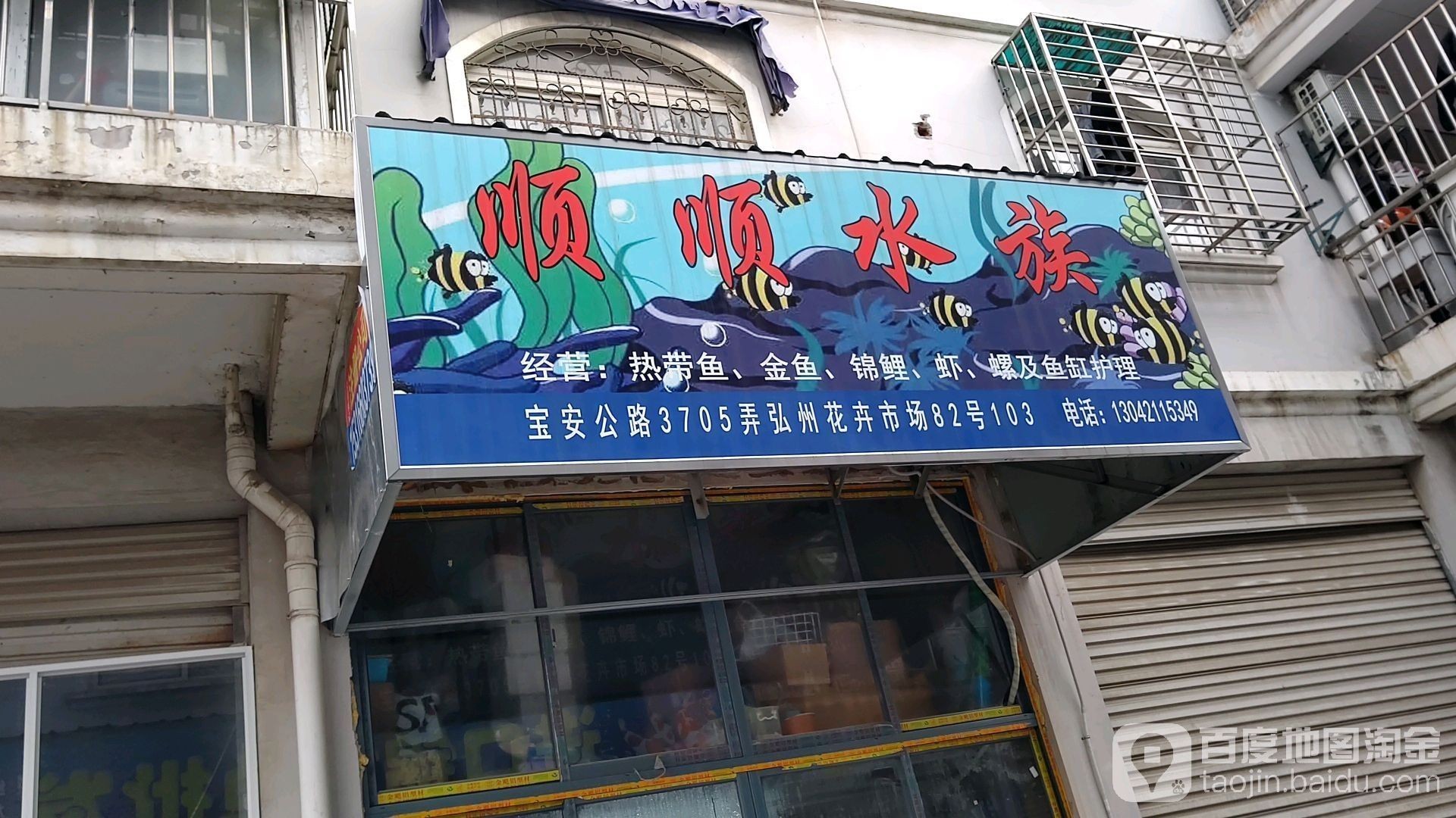 上海有哪些高端水族店（上海海洋之星水族館）