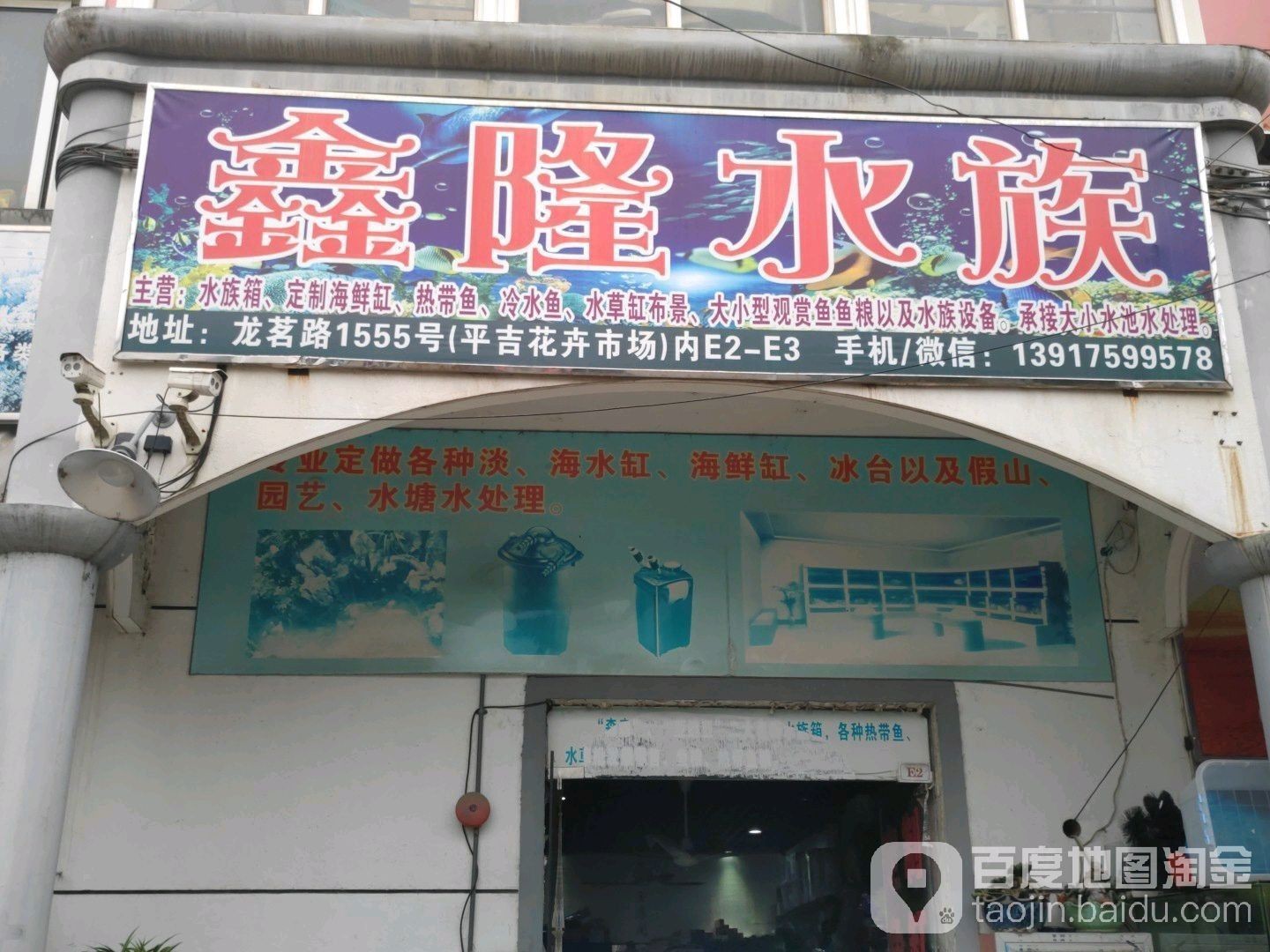 上海有哪些高端水族店（上海海洋之星水族館）