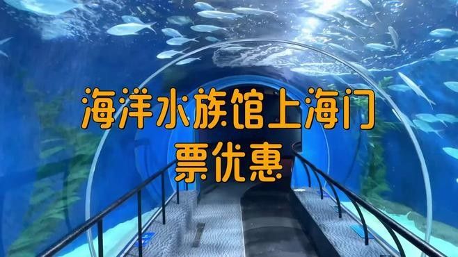 上海有哪些高端水族店（上海海洋之星水族館）