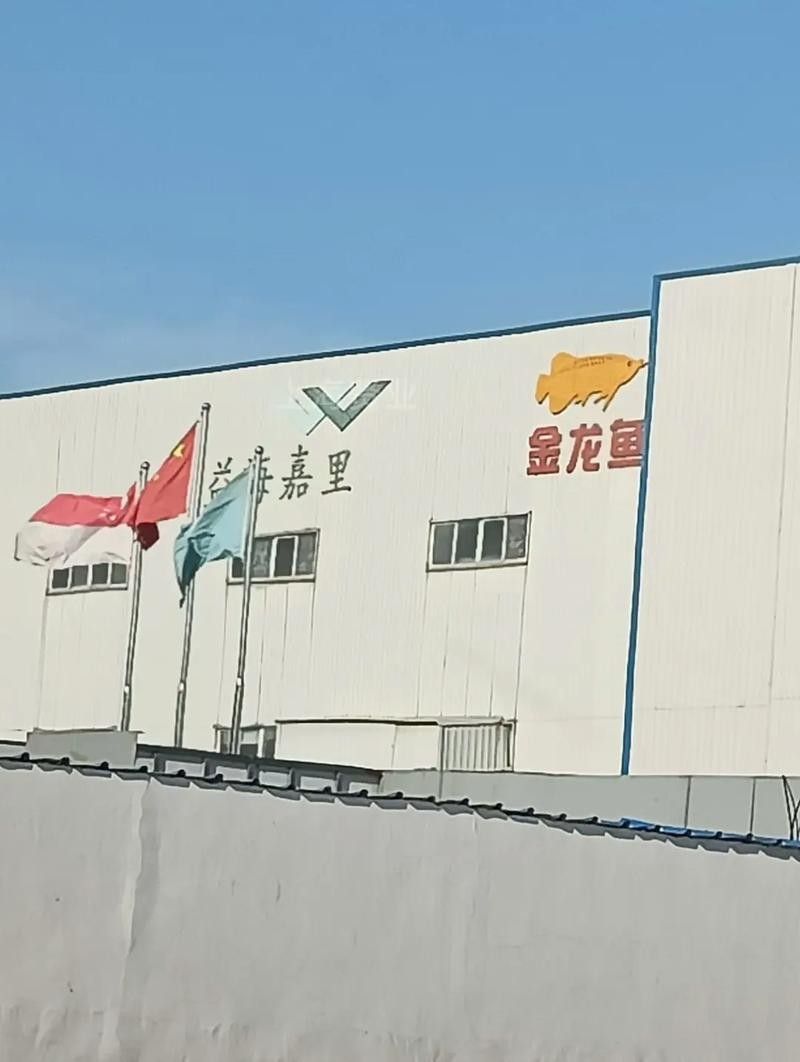 金龍魚的生產基地分布圖（金龍魚在江西的重要生產基地分布圖） 金龍魚的生產基地分布圖（金龍魚在江西的重要生產基地分布圖） 龍魚百科 第1張