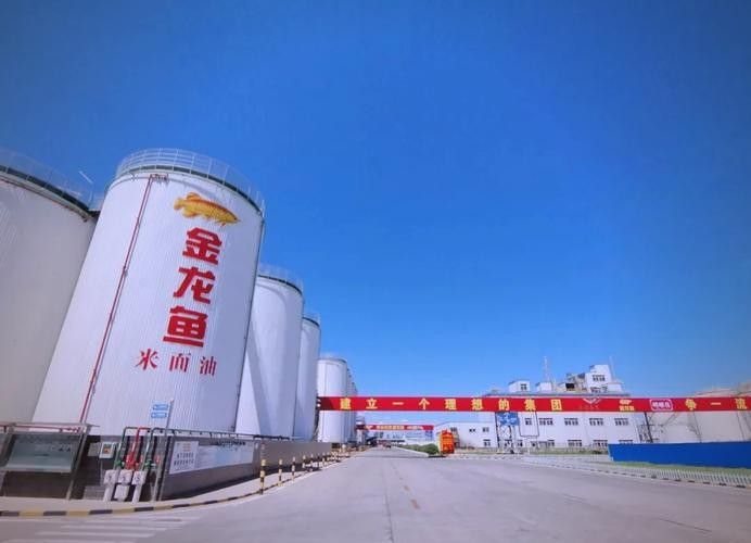 金龍魚的生產基地分布圖（金龍魚在江西的重要生產基地分布圖） 金龍魚的生產基地分布圖（金龍魚在江西的重要生產基地分布圖） 龍魚百科 第12張