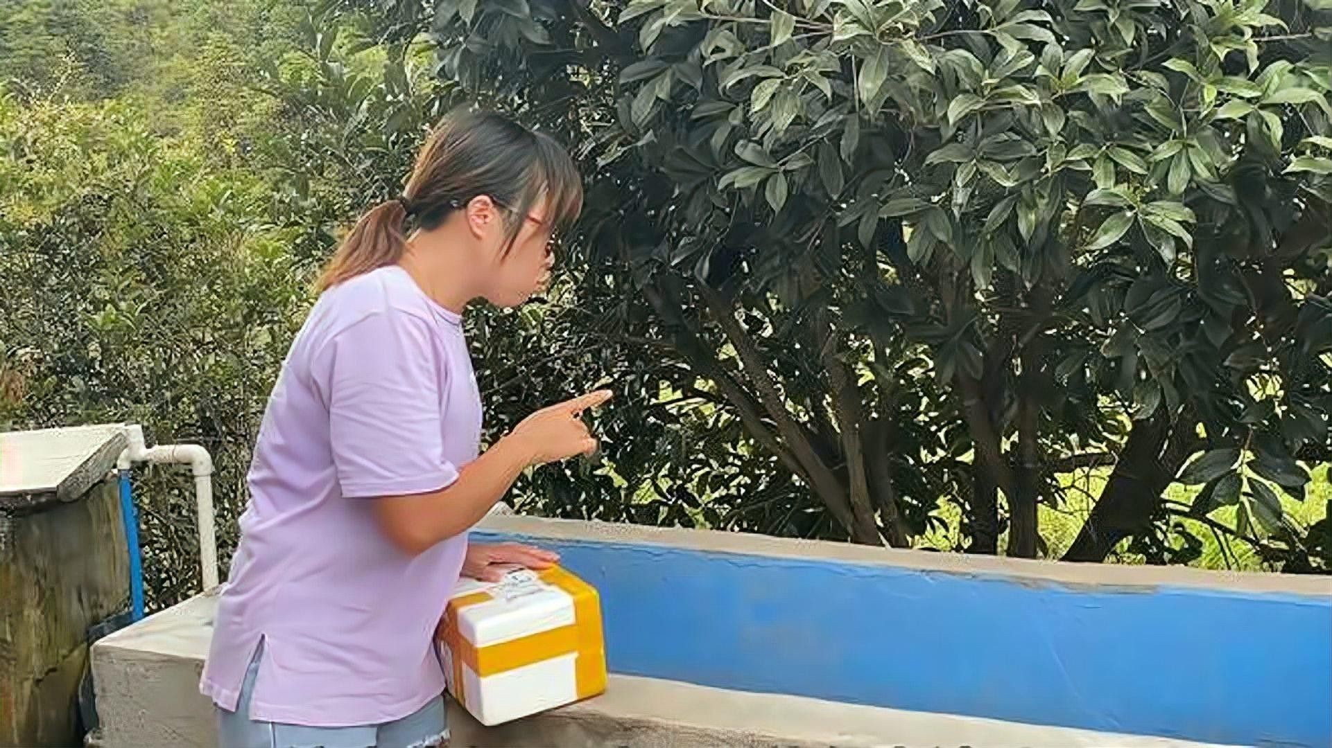 哪種工具魚清理糞便最有效（清理魚缸糞便最有效的工具及其特點） 哪種工具魚清理糞便最有效（清理魚缸糞便最有效的工具及其特點） 龍魚百科 第2張