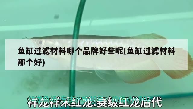 水族器材 魚缸過濾材料哪個品牌好些呢(魚缸過濾材料那個好)(魚缸過濾材料哪個品牌好) 觀賞魚百科 魚缸過濾材料哪個品牌好些呢(魚缸過濾材料那個好)(魚缸過濾材料哪個品牌好) 魚缸過濾材料哪個品牌好些呢(魚缸過濾材料那個好)(魚缸過濾材料哪個品牌好) 觀賞魚百科