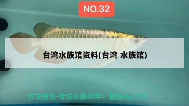 世界上最貴的血紅龍魚價格是多少(世界上最貴的血紅龍魚價格是多少錢一條)（世界上最貴的血紅龍魚價格是多少）