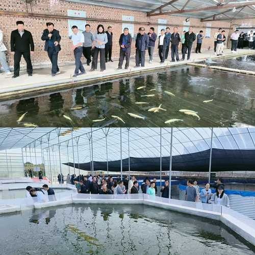 如何聯系到黔南州的龍魚養殖基地（如何聯系到黔南州的龍魚養殖基地？）