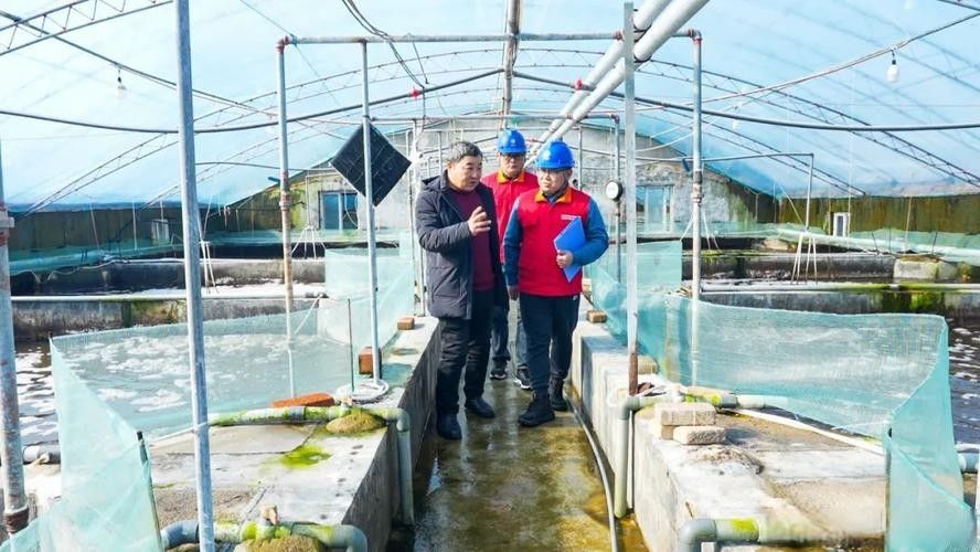 如何聯系到黔南州的龍魚養殖基地（如何聯系到黔南州的龍魚養殖基地？）