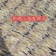 哪里可以找到高清的海龍魚圖片（如何獲取高清海龍魚圖片） 哪里可以找到高清的海龍魚圖片（如何獲取高清海龍魚圖片） 龍魚百科 第29張
