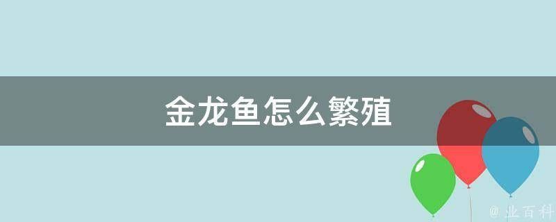 黑色金龍魚(yú)如何繁殖（黑色金龍魚(yú)怎么繁殖后代萌寵日常趣事金龍魚(yú)繁殖揭秘）