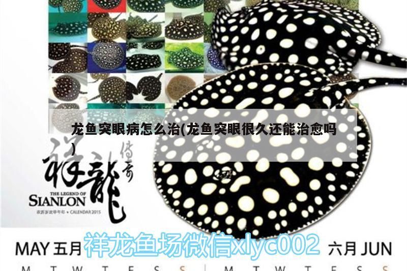 龍魚突眼病怎么治(龍魚突眼很久還能治愈嗎)（龍魚突眼病怎么治）
