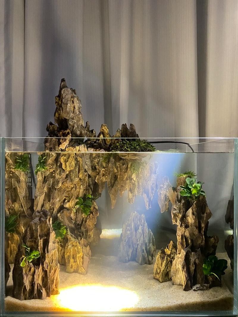 魚缸燈的價格范圍是多少？（百元以內魚缸燈怎么選魚缸燈哪個牌子好用不踩雷） 魚缸燈的價格范圍是多少？（百元以內魚缸燈怎么選魚缸燈哪個牌子好用不踩雷） 龍魚百科 第8張