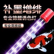 魚缸燈的價格范圍是多少？（百元以內魚缸燈怎么選魚缸燈哪個牌子好用不踩雷） 魚缸燈的價格范圍是多少？（百元以內魚缸燈怎么選魚缸燈哪個牌子好用不踩雷） 龍魚百科 第14張
