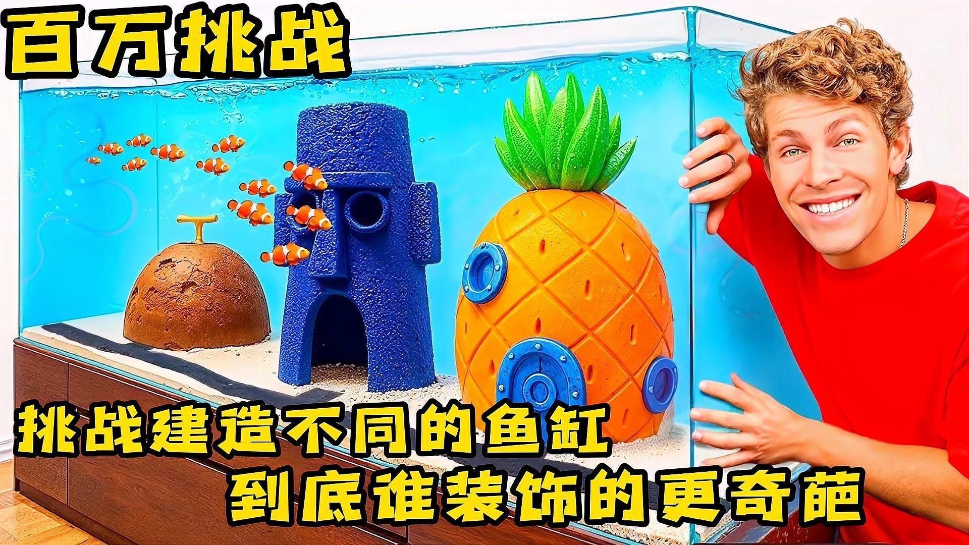 兩款魚缸的詳細對比（當貝智能魚缸1ultra與米家智能魚缸）