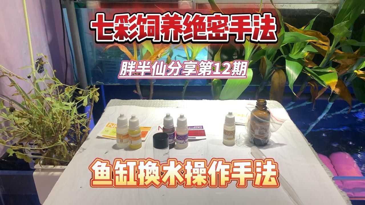 如何調節龍魚和七彩神仙魚的水質？（養魚老道，如何調配水質養七彩神仙魚）