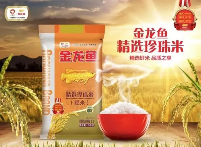 金龍魚珍珠米哪個系列最好（金龍魚御品珍珠米:讓每一粒米飯都充滿魅力）