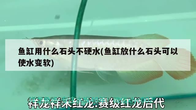 魚缸用什么石頭不硬水(魚缸放什么石頭可以使水變軟)（魚缸用什么石頭不硬水）