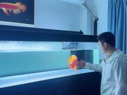 RSK漁場毒椒系列有哪些特點（k牌系列rsk漁場毒椒系列適合哪些玩家來了解下）