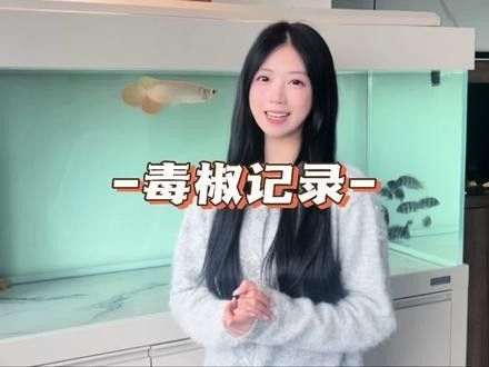 RSK漁場毒椒系列有哪些特點（k牌系列rsk漁場毒椒系列適合哪些玩家來了解下）
