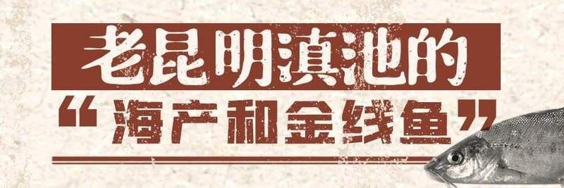 昆明閩浙海鮮有龍魚嗎（昆明閩浙海鮮市場(chǎng)是否提供龍魚） 昆明閩浙海鮮有龍魚嗎（昆明閩浙海鮮市場(chǎng)是否提供龍魚） 龍魚百科 第1張