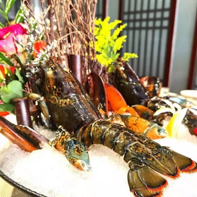 昆明閩浙海鮮有龍魚嗎（昆明閩浙海鮮市場(chǎng)是否提供龍魚） 昆明閩浙海鮮有龍魚嗎（昆明閩浙海鮮市場(chǎng)是否提供龍魚） 龍魚百科 第3張
