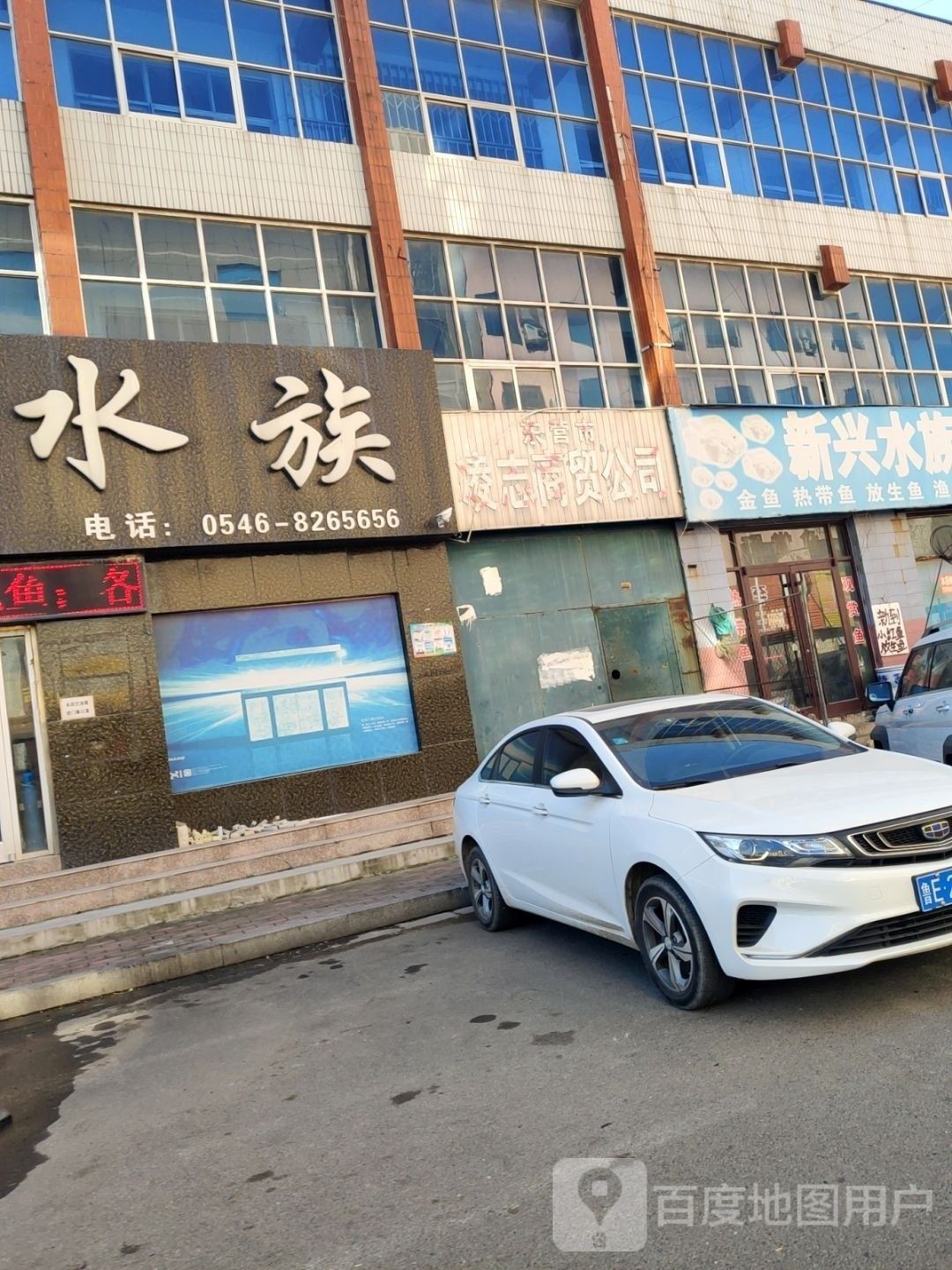 東營(yíng)區(qū)哪個(gè)水族館龍魚(yú)好？祥龍魚(yú)場(chǎng)龍魚(yú)（東營(yíng)市東營(yíng)區(qū)祥龍魚(yú)場(chǎng)）