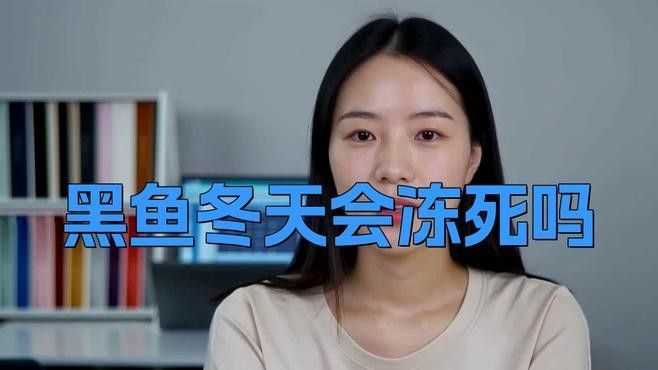 金龍魚和黑魚哪個更耐低溫？（金龍魚和黑魚哪個更耐高溫？）