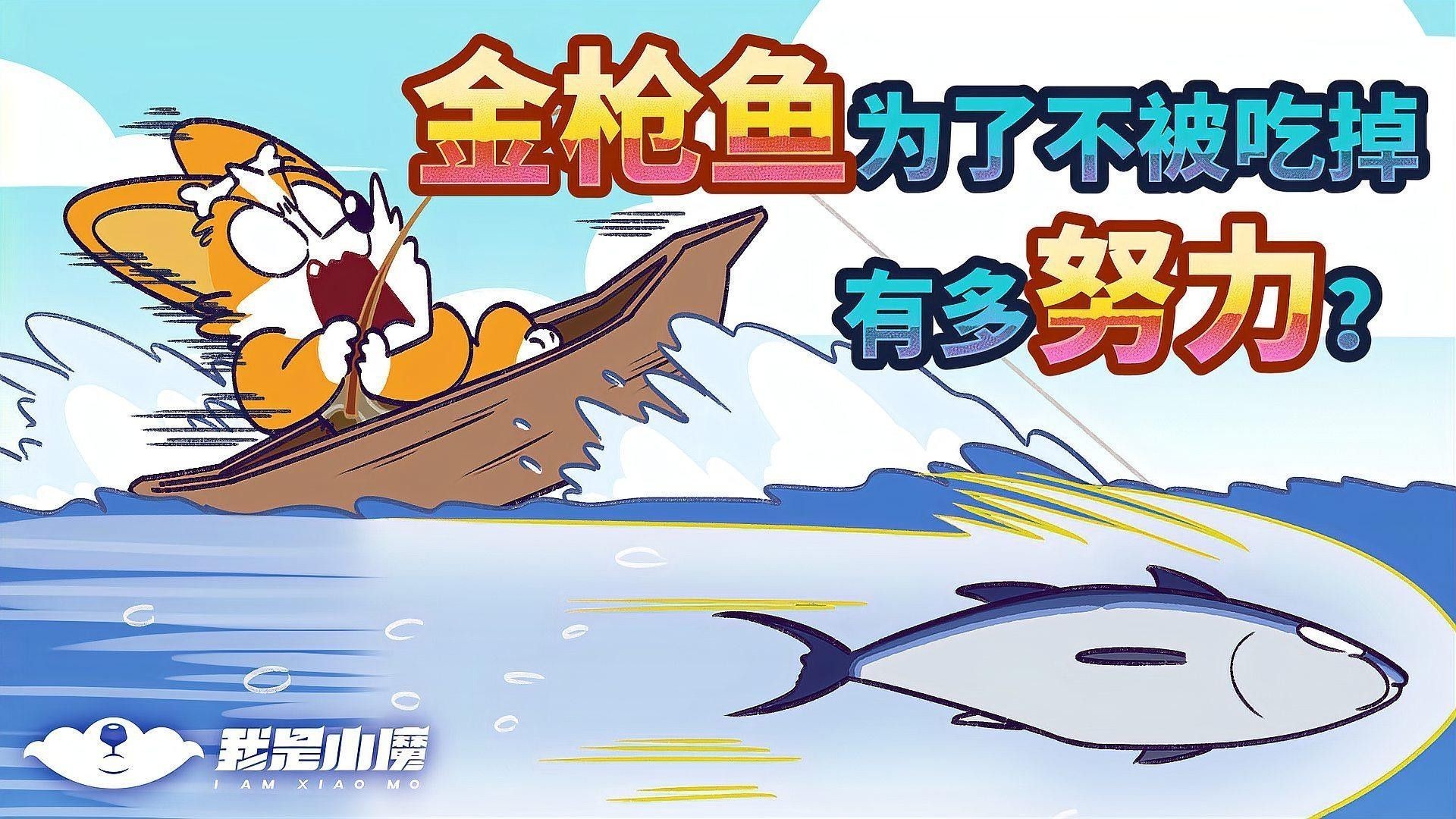 金龍魚和金槍魚哪個(gè)更兇猛（金槍魚和龍魚哪個(gè)更兇猛？） 金龍魚和金槍魚哪個(gè)更兇猛（金槍魚和龍魚哪個(gè)更兇猛？） 龍魚百科 第4張