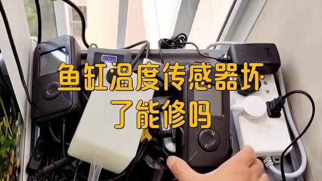 如何設置魚缸溫控器？（小米魚缸溫控器設置指南：魚缸溫控器的設置指南）