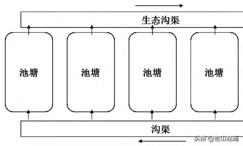 混養時如何避免攻擊行為？（養雞怕打架6個實用方法讓雞群和諧不互啄悅己茶舍魚缸）