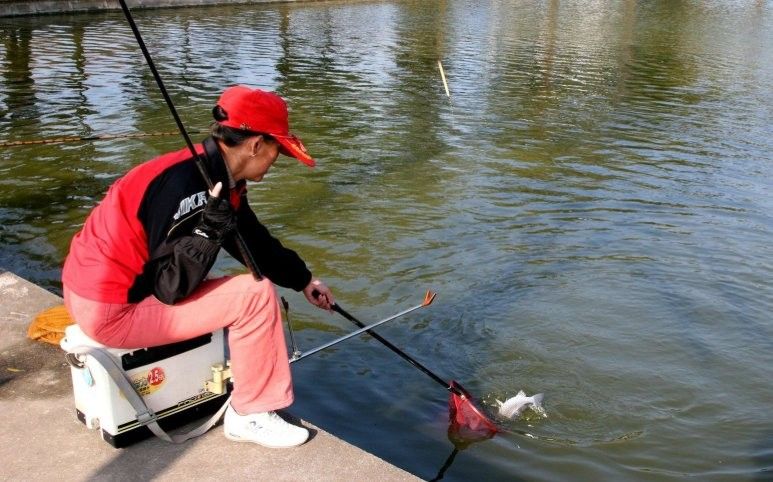 龍魚可以吃哪些水果（吃海鮮不能吃的水果）