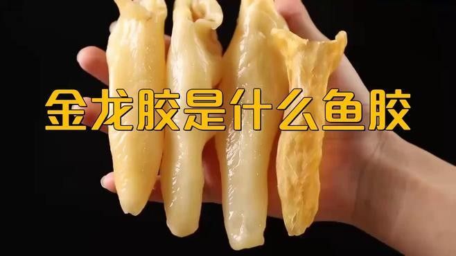 金龍魚膠產(chǎn)地是哪里（揭秘花膠中的滋補佳品）