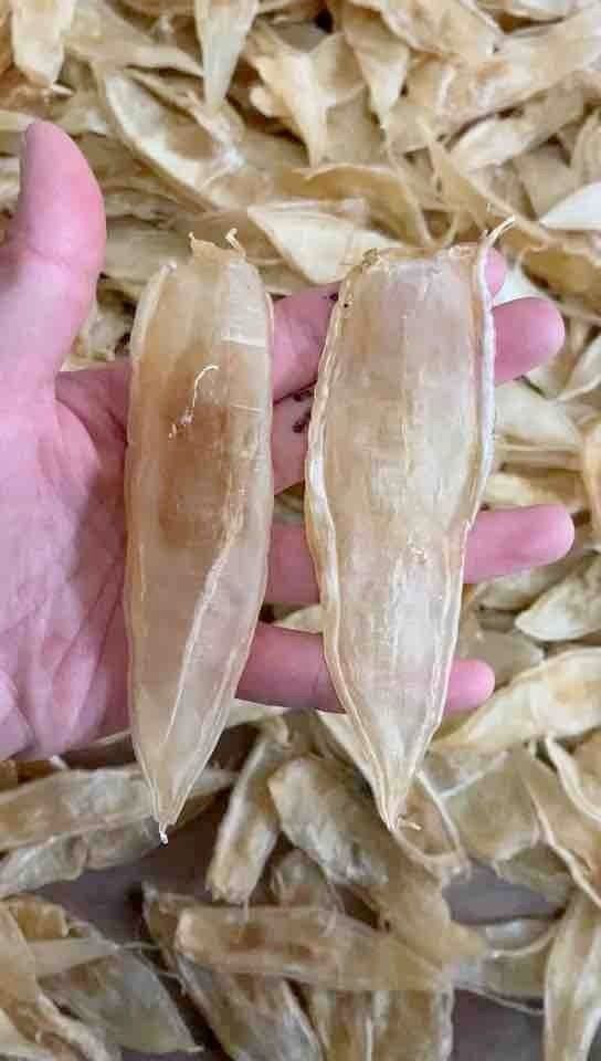 金龍魚膠產(chǎn)地是哪里（揭秘花膠中的滋補(bǔ)佳品）
