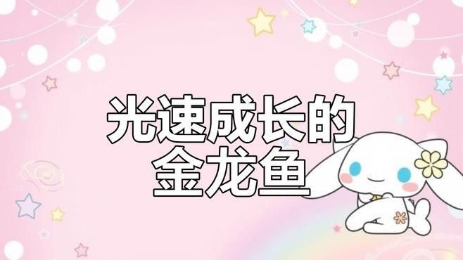 金龍魚在游戲中有何特殊功能（江湖風云錄怎么獲取金龍魚） 金龍魚在游戲中有何特殊功能（江湖風云錄怎么獲取金龍魚） 龍魚百科 第2張