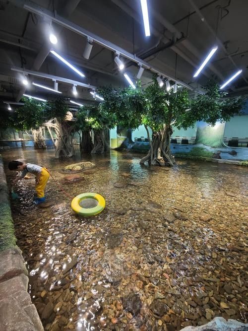 噶爾哪個(gè)水族館龍魚好？祥龍魚場(chǎng)龍魚（噶爾哪個(gè)水族館龍魚好） 噶爾哪個(gè)水族館龍魚好？祥龍魚場(chǎng)龍魚（噶爾哪個(gè)水族館龍魚好） 龍魚百科 第5張