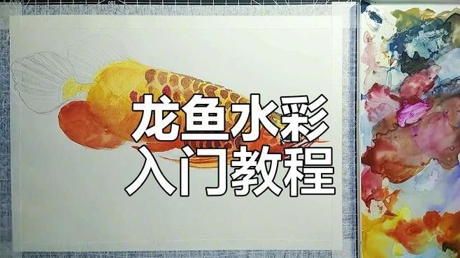 龍魚繪畫中常見的錯誤有哪些（龍魚繪畫中常見的13種錯誤及其原因分析及解決方案）