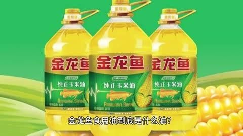 寧國金龍魚最忌三種食物（寧國金龍魚最忌三種食物是高糖、高蛋白以及含有人工色素的食物）