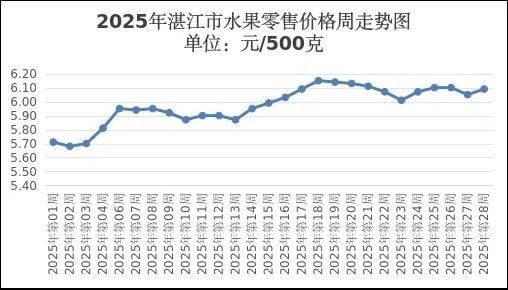 金龍魚的價格會波動嗎（金龍魚價格受多種因素影響） 金龍魚的價格會波動嗎（金龍魚價格受多種因素影響） 龍魚百科 第6張