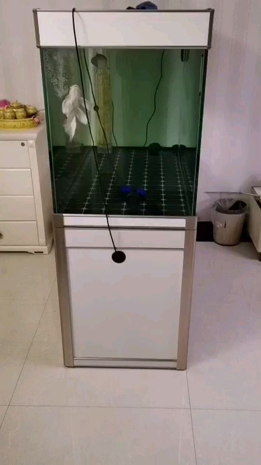 魚缸（什么牌子的魚缸好用）