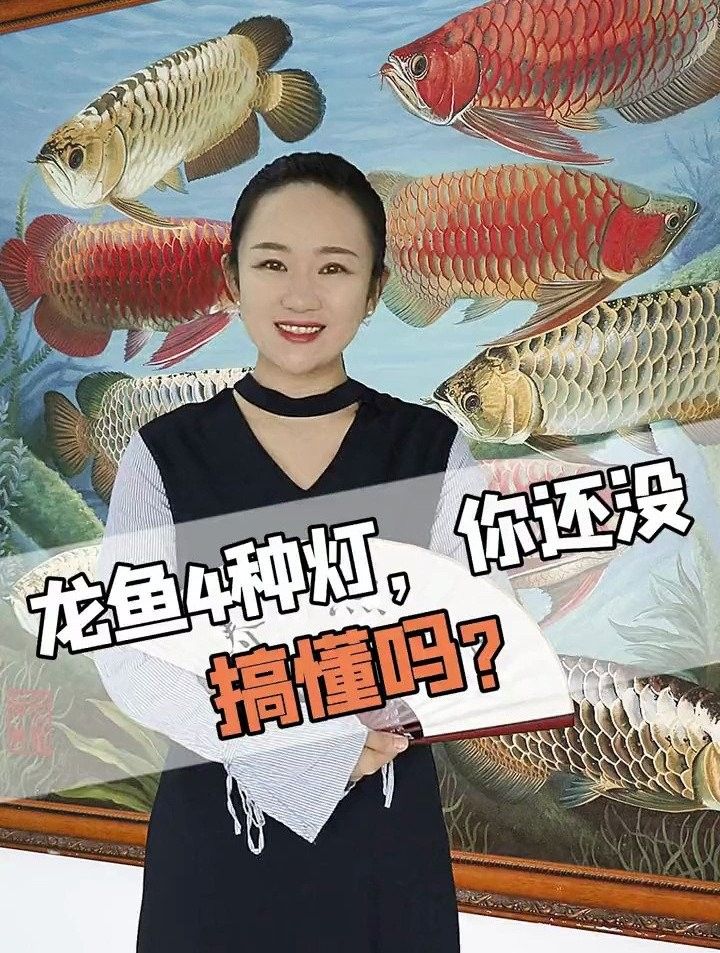 養(yǎng)紅龍魚用什么燈最好（紅龍魚燈具選擇）