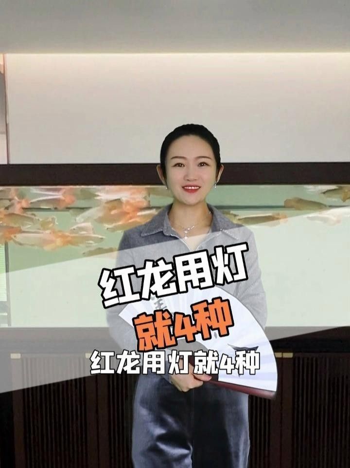 養(yǎng)紅龍魚用什么燈最好（紅龍魚燈具選擇）