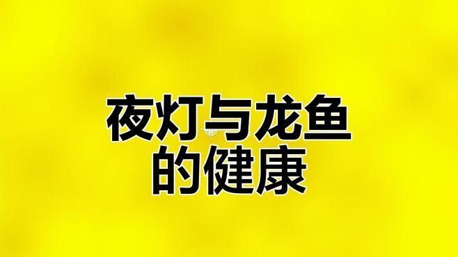 龍魚晚上開夜燈好不好（龍魚晚上開夜燈對龍魚有害嗎如何正確飼養金龍紅龍養龍魚）