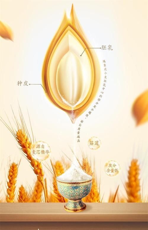 如何保存金龍魚河套平原雪花粉？（如何保存金龍魚河套平原雪花粉）